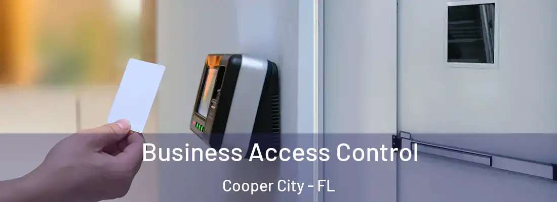  Business Access Control Cooper City - FL