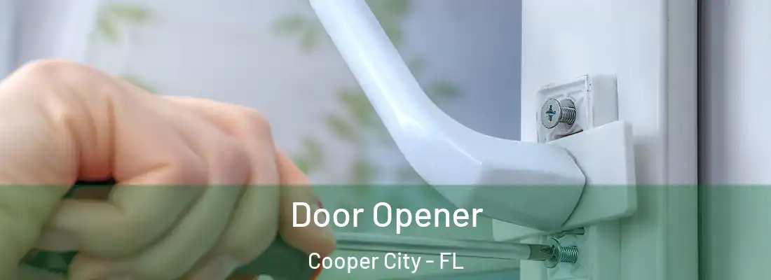 Door Opener Cooper City - FL