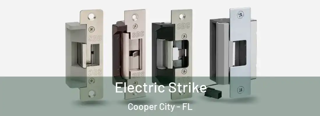  Electric Strike Cooper City - FL