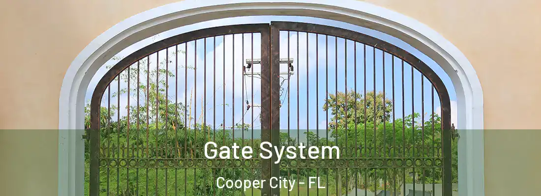 Gate System Cooper City - FL