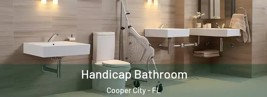  Handicap Bathroom Cooper City - FL