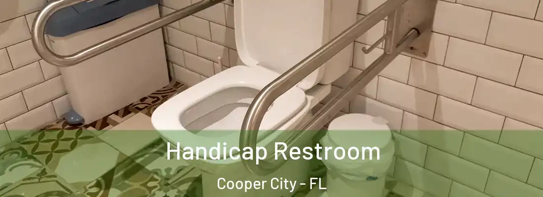  Handicap Restroom Cooper City - FL