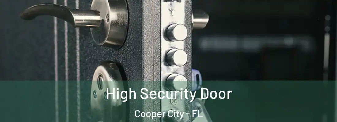  High Security Door Cooper City - FL