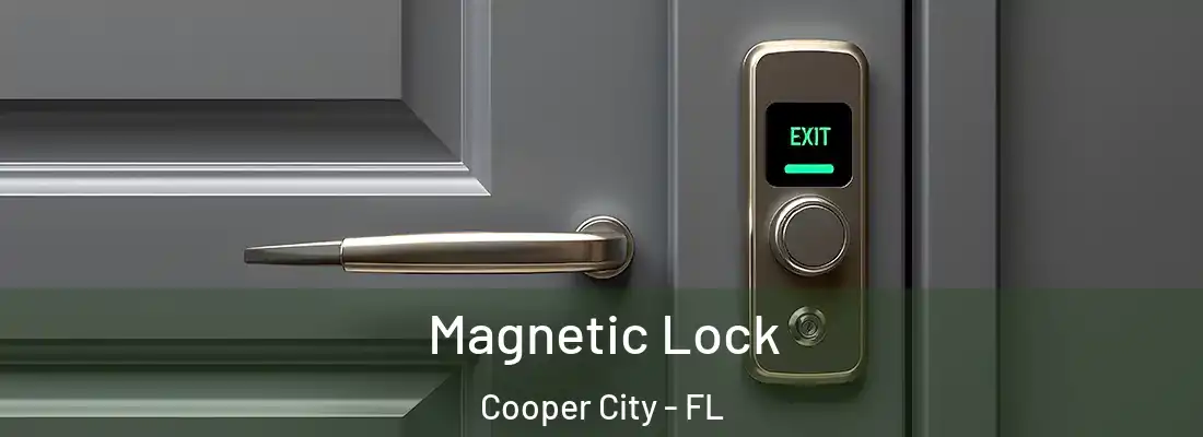  Magnetic Lock Cooper City - FL