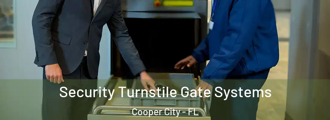  Security Turnstile Gate Systems Cooper City - FL
